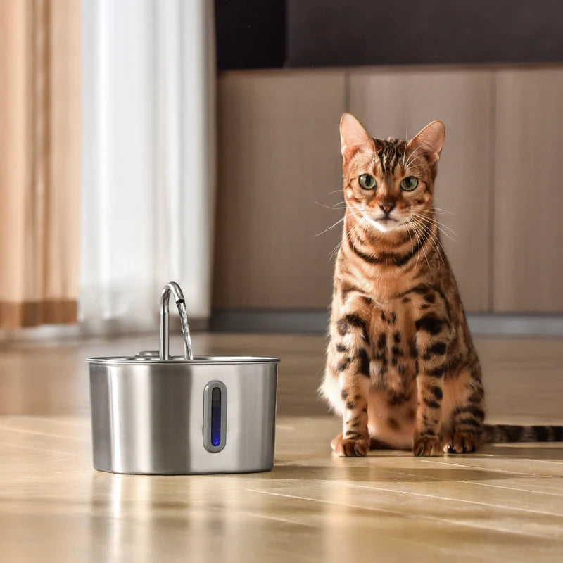 Pawvera · Fuente para gatos con sensor automático y filtro