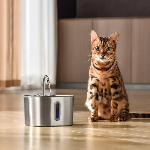 Pawvera · Fuente para gatos con sensor automático y filtro